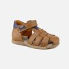 Boys Stones and Bones | Stones And Bones - Saro Marron Bleu Sandals On Labotte
