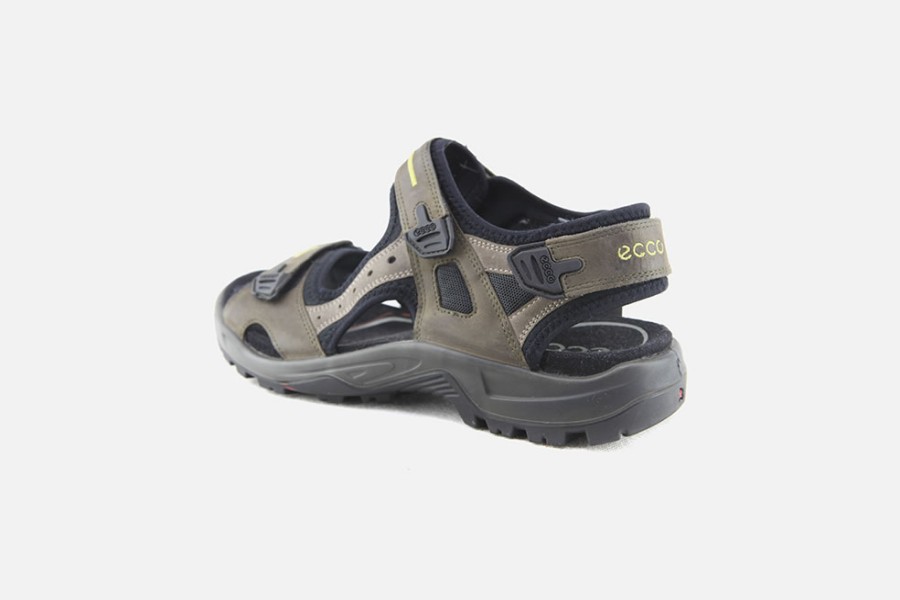 Men Ecco | Ecco - Offroad Brown Mud Man Sandals On Labotte