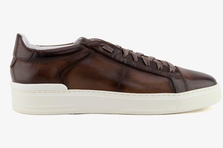 Men Fabi | Fabi - Fantastic Coffee Sneakers On Labotte